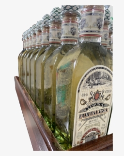 Tequila Png, Transparent Png, Free Download