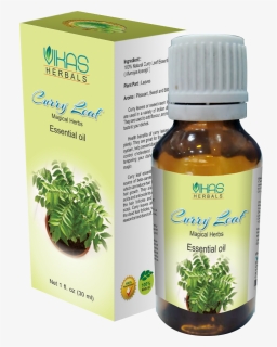 Curry Leave - Horsetail Family, HD Png Download, Free Download