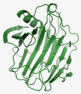 File - 1nlrribbon - Enzyme Cellulase, HD Png Download, Free Download