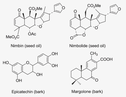 Active Compounds Of Neem, HD Png Download, Free Download