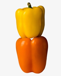 Yellow Pepper, HD Png Download, Free Download