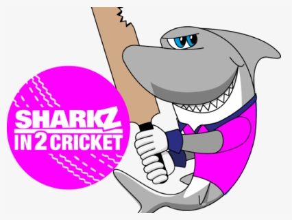 Cricket Clipart Ladies Cricket, HD Png Download, Free Download