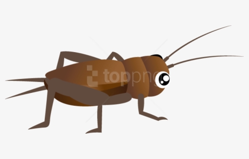 Free Png Download Cricket Insect Clipart Png Images - Cricket Bug Clip Art, Transparent Png, Free Download