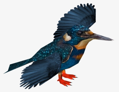 Blyth"s Kingfisher - Kingfisher, HD Png Download, Free Download