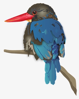 Java Kingfisher Bird Clipart - Coraciiformes, HD Png Download, Free Download
