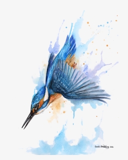Australian Drawing Kingfisher - Kingfisher Diving Painting, HD Png Download, Free Download
