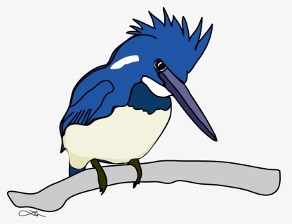 The Belted Kingfisher Keeps Me Company All The While - Fly Fishing, HD Png Download, Free Download