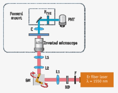 Diagram, HD Png Download, Free Download