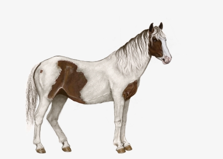 Thumb Image - Horse Pixel Background, HD Png Download, Free Download