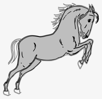 Transparent Horse Jump Clipart - Horse Clip Art, HD Png Download, Free Download