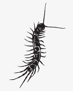 Centipede Black And White Tattoo , Png Download - Centipede Tattoo On Neck, Transparent Png, Free Download