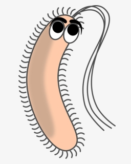 Bacteria Png - Bacteria Cartoon, Transparent Png, Free Download