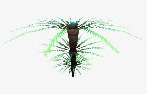 Fern Palm Flora - Roystonea, HD Png Download, Free Download