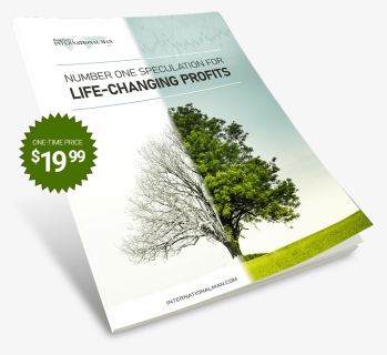 Tree, HD Png Download, Free Download