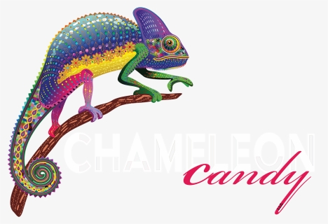 Gecko Clipart Chameleon - Common Chameleon, HD Png Download, Free Download
