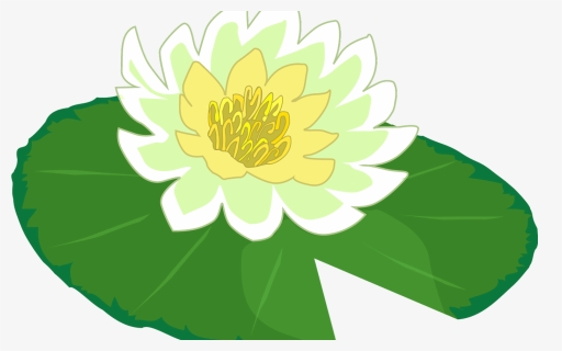 White Flower Water Lily Clipart The Cliparts Png Clipartix - Clipart Lily Pad Flower, Transparent Png, Free Download