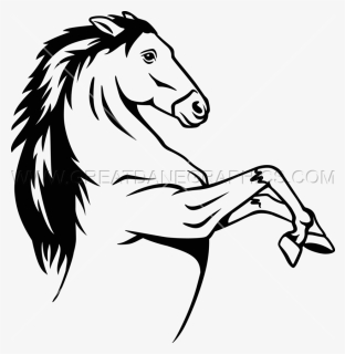 Thumb Image - Transparent Bronco Black And White, HD Png Download, Free Download