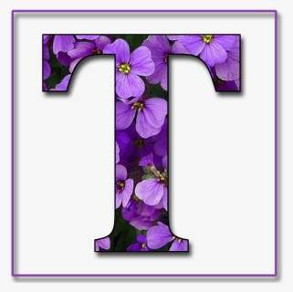 Letter T Color Purple, HD Png Download, Free Download