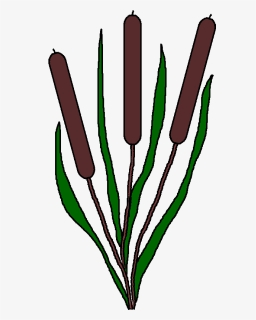 Graphics By Ruth - Cartoon Pond Plants, HD Png Download - kindpng
