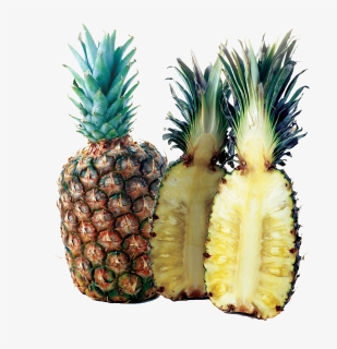 Pineapple Clipart Classy, HD Png Download, Free Download