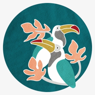 Hornbill, HD Png Download, Free Download