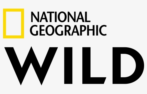 Nat Geo Wild Logo , Png Download - Nat Geo Wild Logo, Transparent Png, Free Download