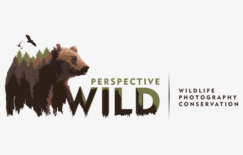 Wildlife Photography Logo Png , Png Download - Wild Photography Text, Transparent Png, Free Download