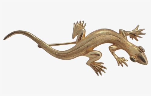 Gecko, HD Png Download, Free Download