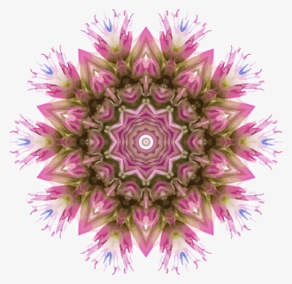 Wildflower Kaleidoscope 3 Clip Arts - Sahara Prime City Ltd, HD Png Download, Free Download