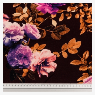 Viscose Jersey Printed Purple Roses In The Dark Multicolored - Hybrid Tea Rose, HD Png Download, Free Download