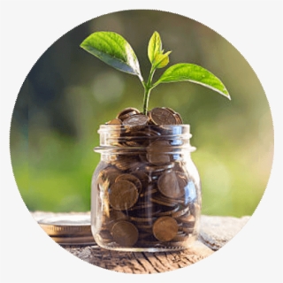 Money-tree - Glass Environmentally Friendly, HD Png Download, Free Download