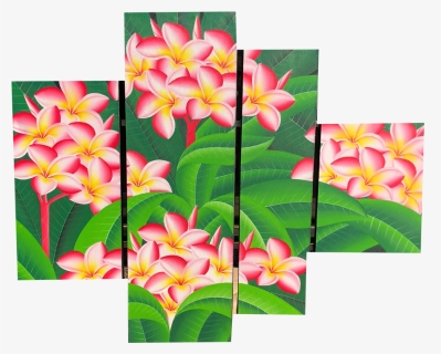 Transparent Plumeria Flower Png - Frangipani, Png Download, Free Download