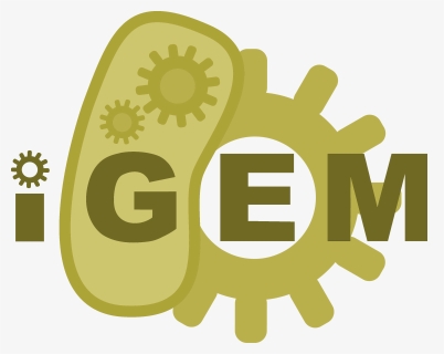 Expand On Your Silver Medal Gold Shield Png - International Genetically Engineered Machine, Transparent Png, Free Download