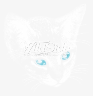 Transparent Cat Eyes Png - T-shirt, Png Download, Free Download