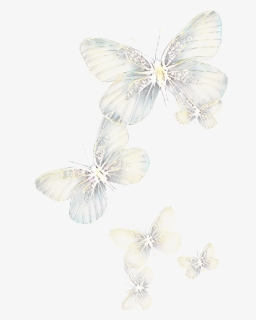 Ftestickers Butterflies Light Glowing - White Butterfly Transparent Background, HD Png Download, Free Download