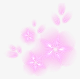 Ftestickers Flowers Light Glowing - Orchid, HD Png Download, Free Download