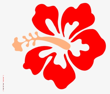 Coral Hibiscus Clip Art, HD Png Download, Free Download