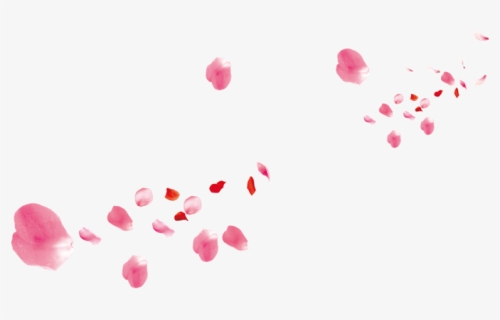 Pink Flower Rose Petals Petal Beach - Pink Flower Petals Png, Transparent Png, Free Download