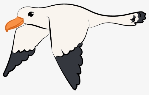 Flying Seagull Clipart, HD Png Download, Free Download