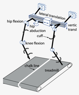 Diagram, HD Png Download, Free Download