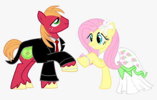 Pony Wedding Commission Big Mac X Flutt - My Little Pony Big Mac X Fluttershy, HD Png Download, Free Download
