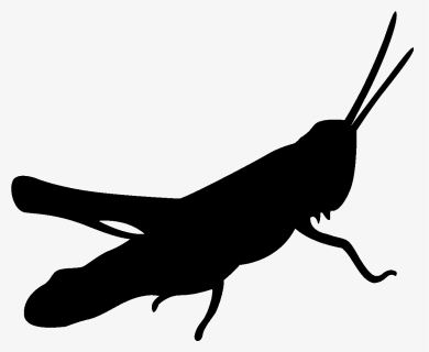 Picture Transparent Stock Silhouette Pencil And In - Grasshopper Clipart Silhouette, HD Png Download, Free Download