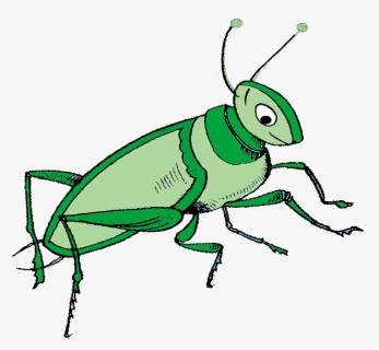 Grasshopper Language School - Membrane-winged Insect, HD Png Download, Free Download