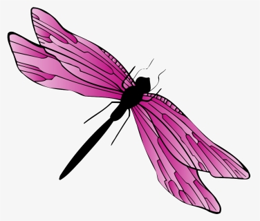 Dragonfly Clipart Gif, HD Png Download, Free Download