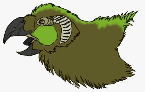 Parrot Griffin Headshot - Cartoon, HD Png Download, Free Download