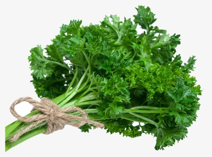 Dhone Pata In English , Png Download - Parsley Good For You, Transparent Png, Free Download