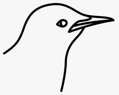 Bird, HD Png Download, Free Download