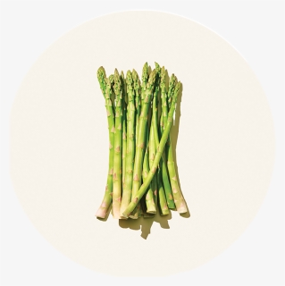 Asparagus , Png Download - Asparagus, Transparent Png, Free Download