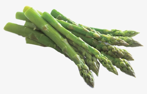 #asparagus - Šparoga, HD Png Download, Free Download