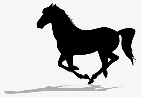 Horse Black And White, HD Png Download, Free Download